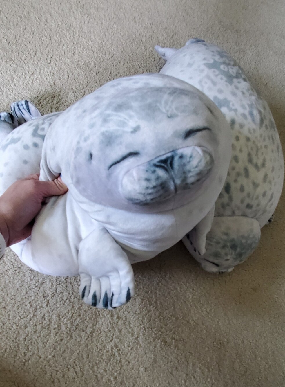 Plush Gray White Seals